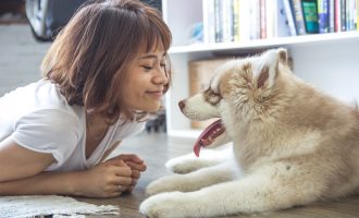 Mon animal me rend malade : les chiens à l’origine d’une épidémie ?