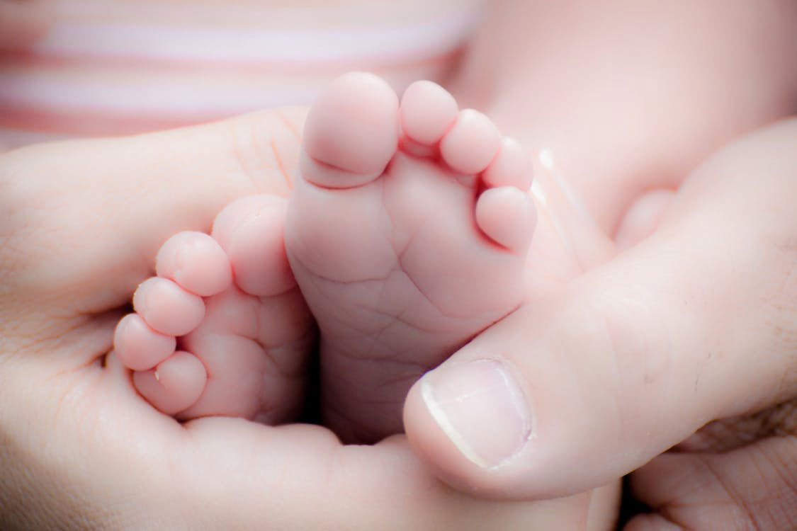 Le Degel De La Prime De Naissance 19 Le Degel De La Prime De Naissance 19